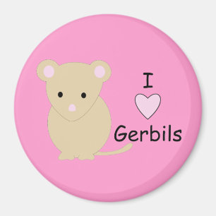 Íman Mim ímã dos Gerbils do coração