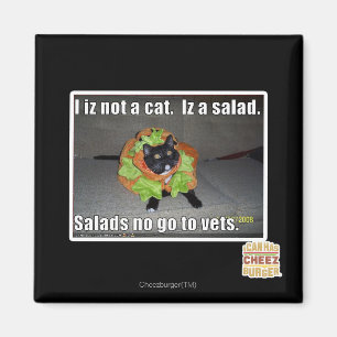 Íman Mim iz não um gato. Iz um salad.