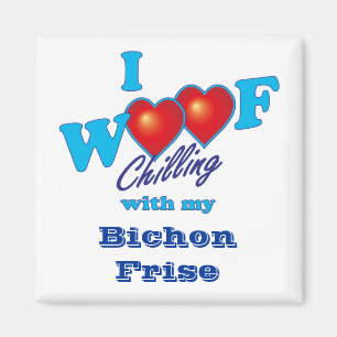 Íman Mim Woof Bichon Frise