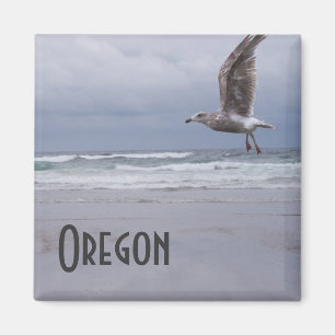 Íman Mímã cigano marinho