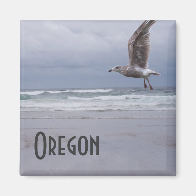 Íman Mímã cigano marinho (Frente)