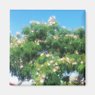 Íman Mimosa Tree Magnet