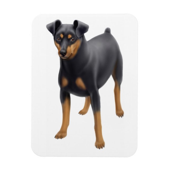 Íman Min Pin Premium Magnet Miniatura Pinscher (Vertical)