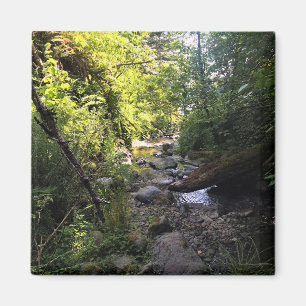 Íman Miner Creek, Samuel H. Boardman, OR