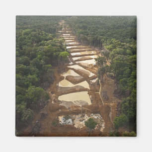 Íman Mineração de Ouro Aluvial. Floresta Tropical, Guia
