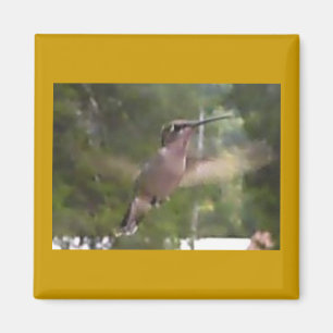 Íman Mingbird 1 Magneto