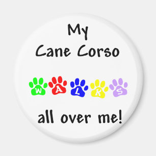 Íman Minha Cane Corso Caminha Por Mim