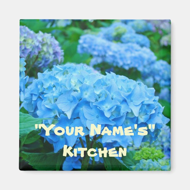 Íman Minha cozinha! Ímanes Blue Hydrangea Flowers (Frente)