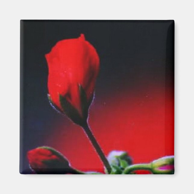 Íman Minha Flor (Frente)