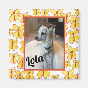 Íman Minha Foto Personalizada de Animal de Estimação em