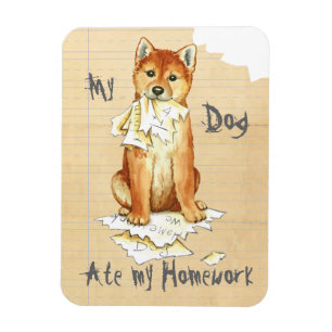 Íman Minha Shiba Inu Comeu Meu Trabalho De Casa