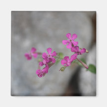 Mini Flores Rosa com Pedras
