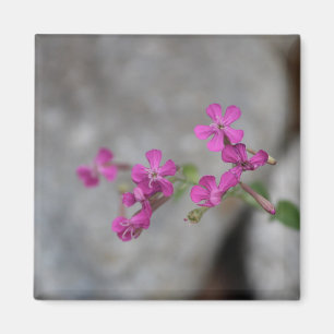 Íman Mini Flores Rosa com Pedras