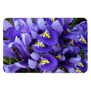 Íman Miniatura Azul Levanta Primavera Floral