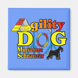 Íman Miniatura_Schnauzer_Agilidade
