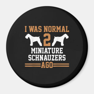 Íman Miniatura Schnauzer Cão 2, Escola de Formação d