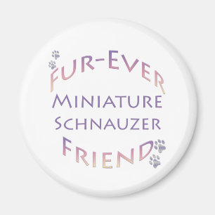 Íman Miniatura Schnauzer Fuore
