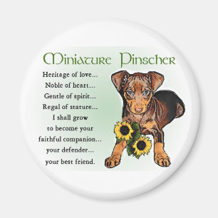 Íman Miniature Pinscher Gifts