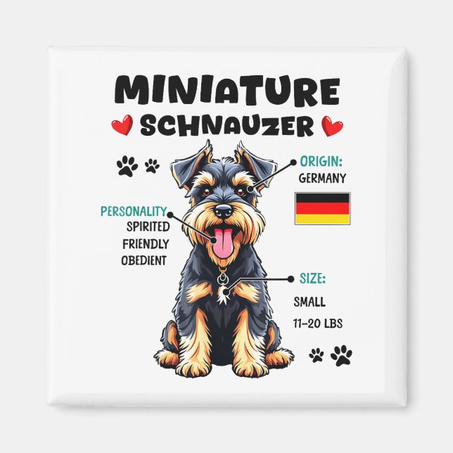 Íman Miniature Schnauzer Owner Funny Mini Schnauzer Lov (Frente)