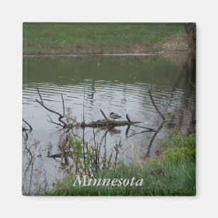 Íman Minnesota
