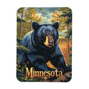 Íman Minnesota Black Bear