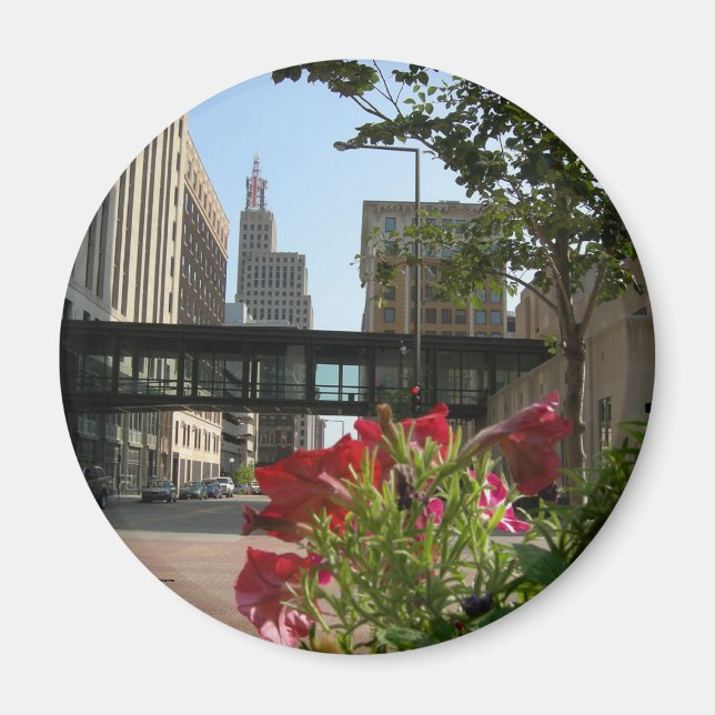 Íman Minnesota, Rua. (Frente)