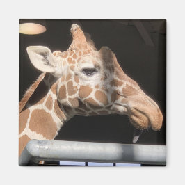 Íman Missy Magnet nº 1