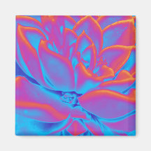 Mistério de sucesso