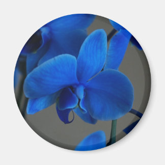 Íman Mística Azul