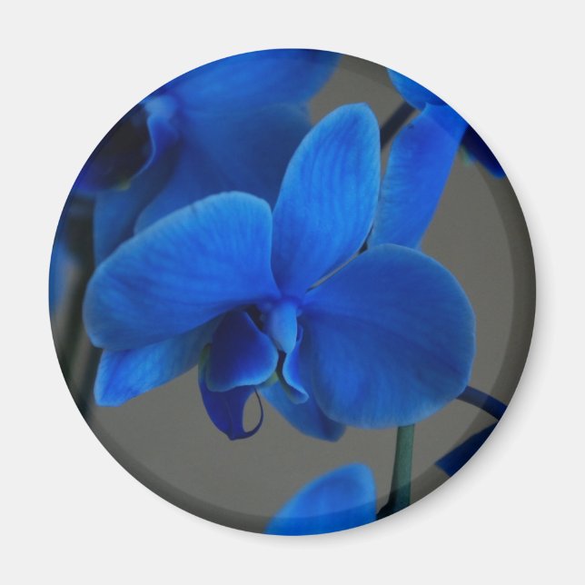 Íman Mística Azul (Frente)