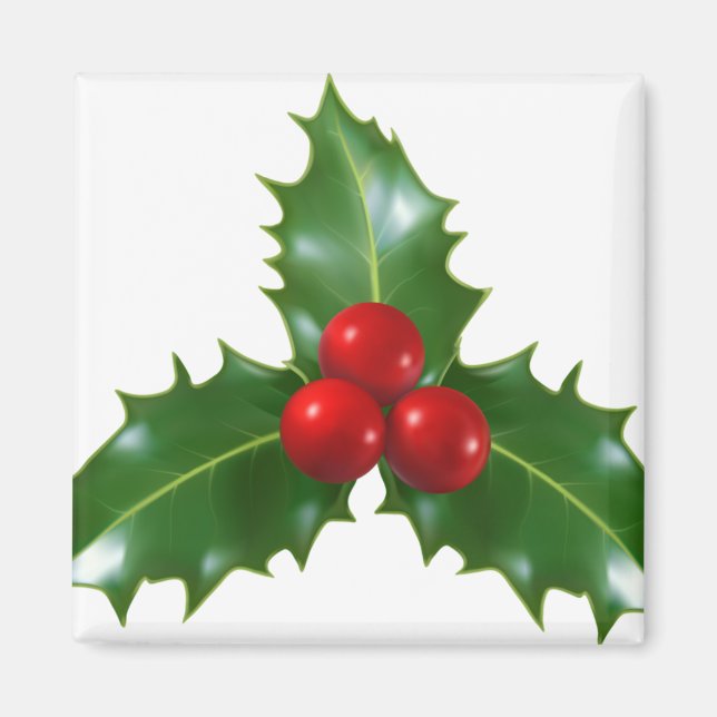 Íman Mistletoe (Frente)