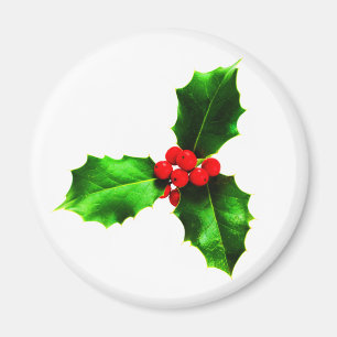 Íman Mistletoe