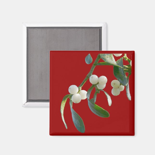 Íman Mistletoe Magnet (Front/Back)