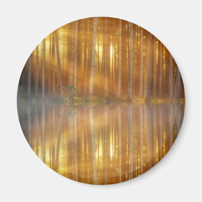 Íman Misty Forest Scene (Frente)