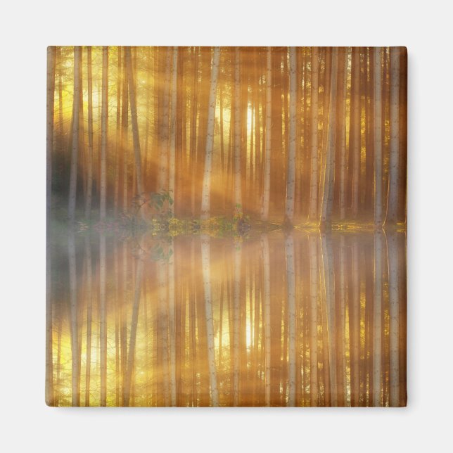 Íman Misty Forest Scene (Frente)