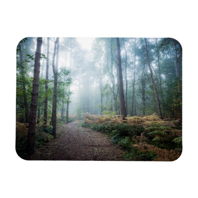 Íman Misty Forest Walk (Horizontal)
