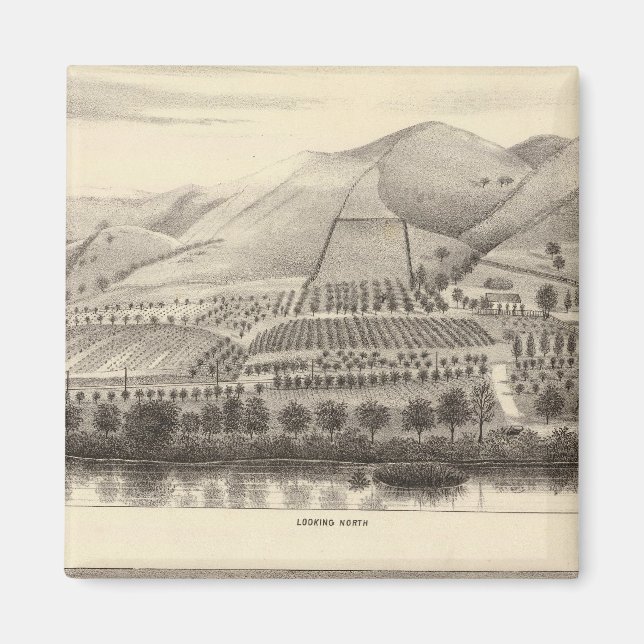 Íman Mizzen Top Rancho (Frente)