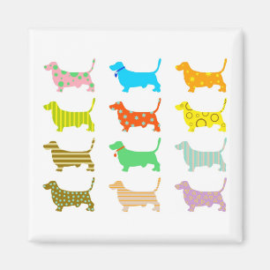 Íman modelar-cão-cães