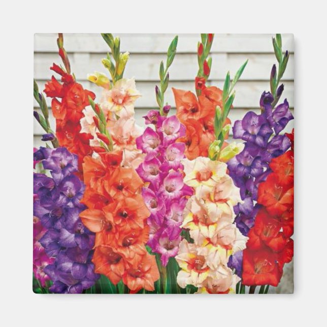 Íman Modelo de Foto 2 x 2 Magnet do Refrigerador Quadra (Frente)