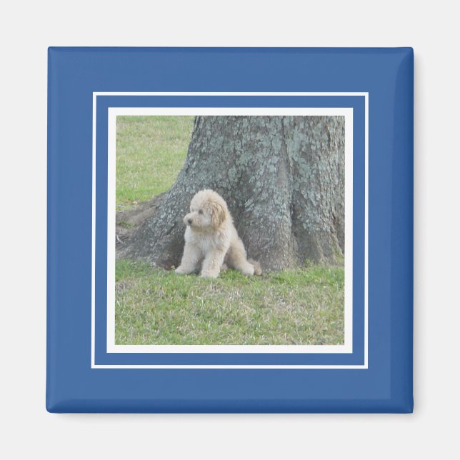 Íman Modelo de Foto Branco Azul Real Moderno  (Frente)
