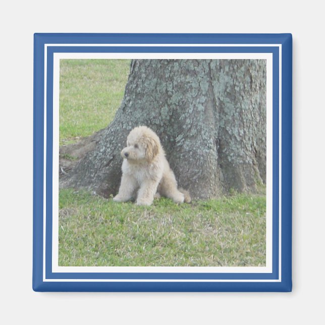 Íman Modelo de Foto Personalizada Elegante Azul Real &  (Frente)