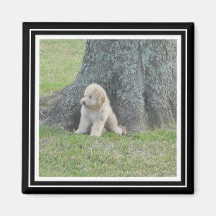 Íman Modelo de Foto Personalizada Preto e Branco Verdad