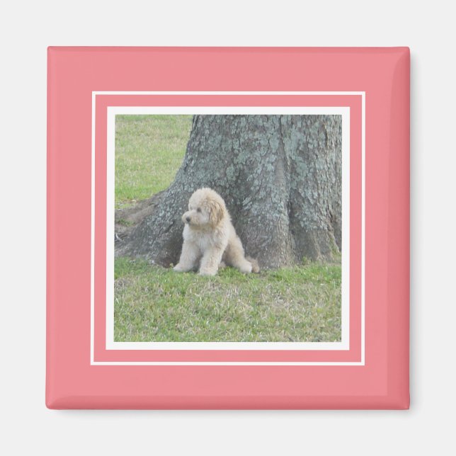 Íman Modelo de Foto Personalizado Coral e Branco Rosa S (Frente)