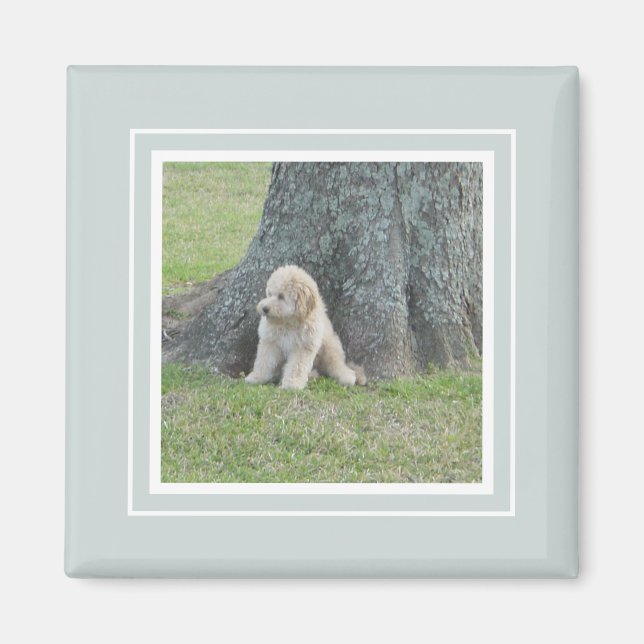 Íman Modelo de Foto Personalizado Moderno Simples Verde (Frente)