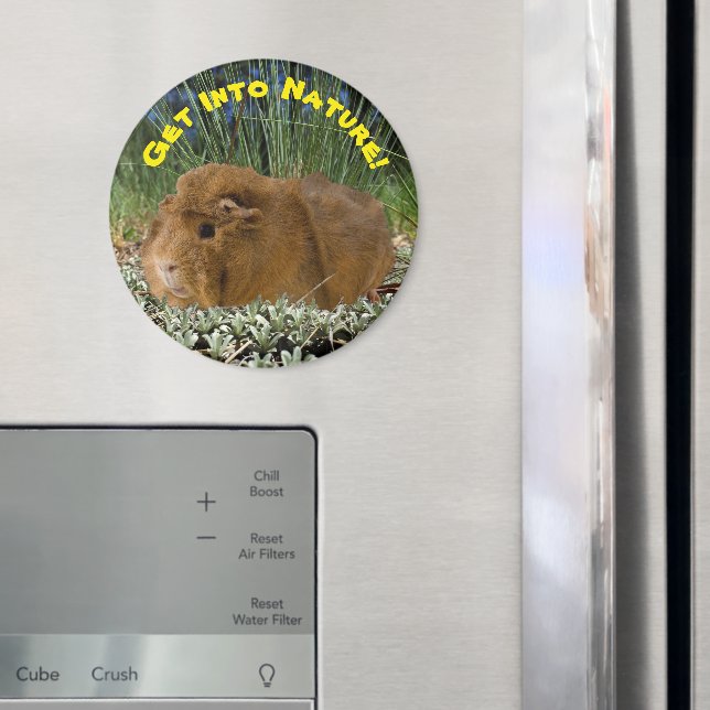 Íman Modelo de Fotografia de Suíno de Guiné Cura Inspir (In Situ (Fridge))