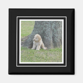 Íman Modelo de Fotografia Personalizado Preto e Branco