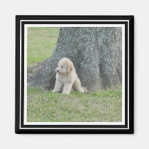 Modelo de Fotografia Personalizado Preto e Branco
