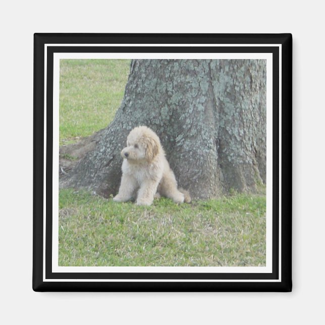 Íman Modelo de Fotografia Personalizado Preto e Branco  (Frente)