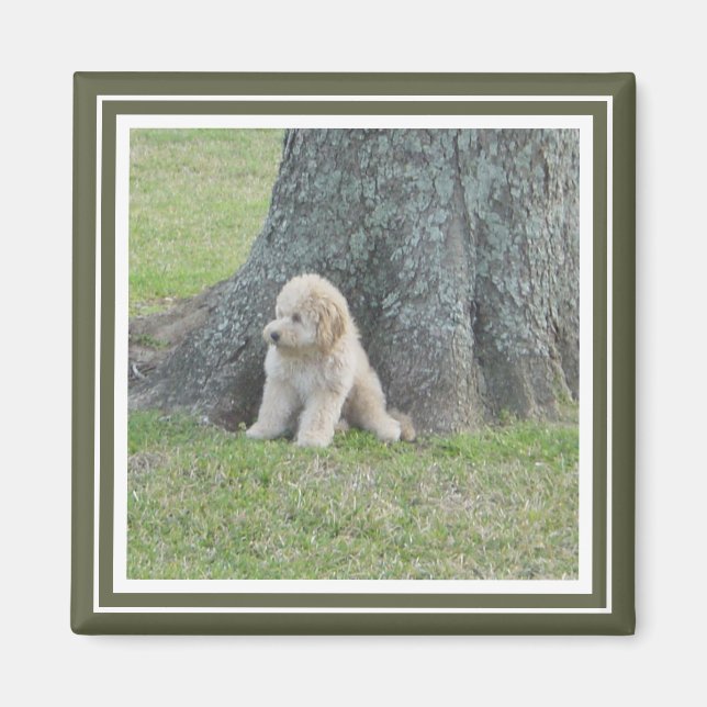 Íman Modelo de Fotografia Personalizado Verde e Branco (Frente)