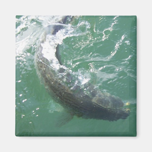 Íman Modelo do Magnet (Frente)